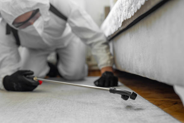 Professional Bed Bug Control technician working in Timber Pines, FL
